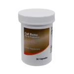gut renu, prebiotic, probiotic, gut supplement, the woodlands, vitamins, supplements, theramineral
